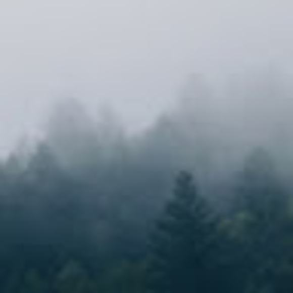 newfoundgray
